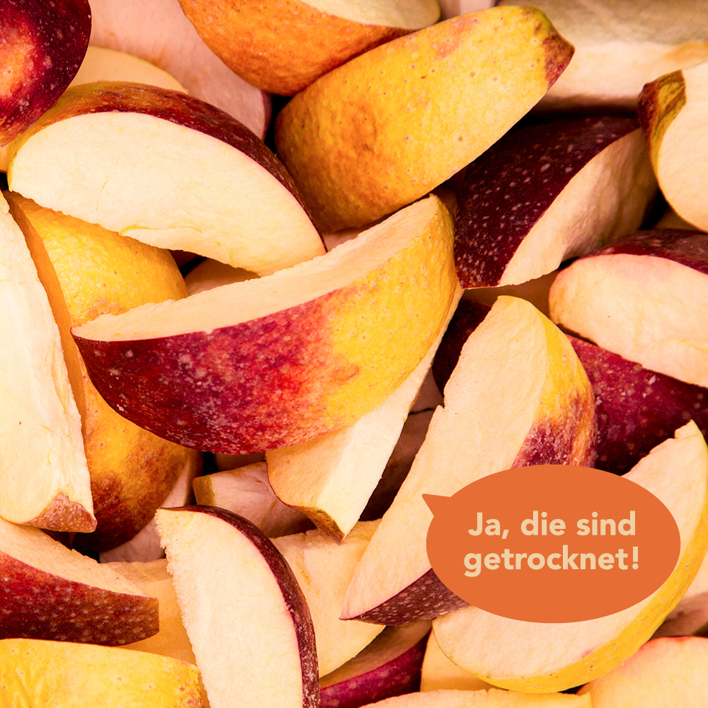 FRUDIST gefriergetrocknete Äpfel