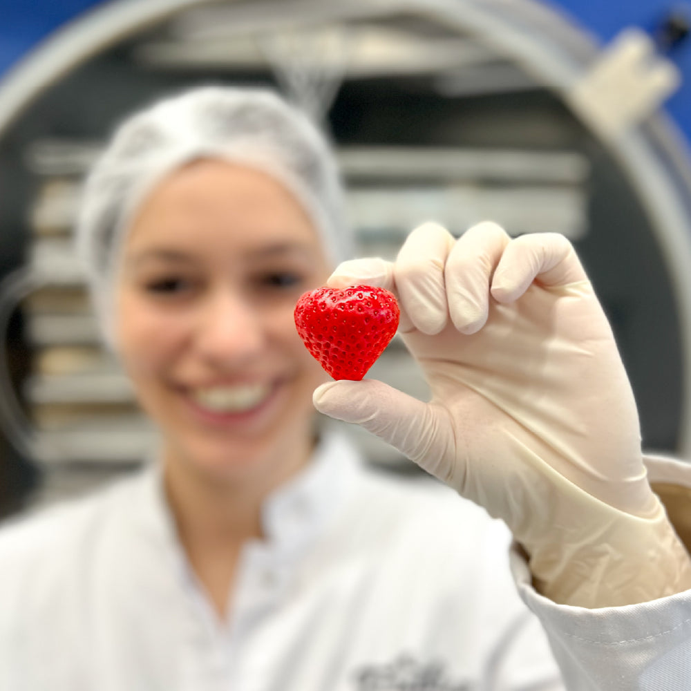 Gefriergetrocknete Erdbeere vor Gefriertrockner