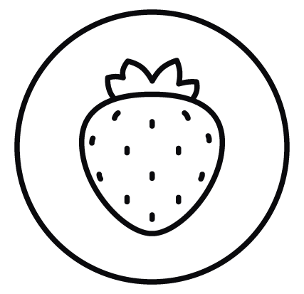 Frudist Icon Erdbeere im Kreis