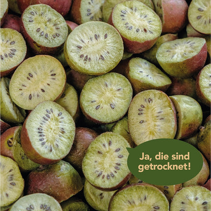 Nahaufnahme von den gefriergetrockneten Kiwibeeren