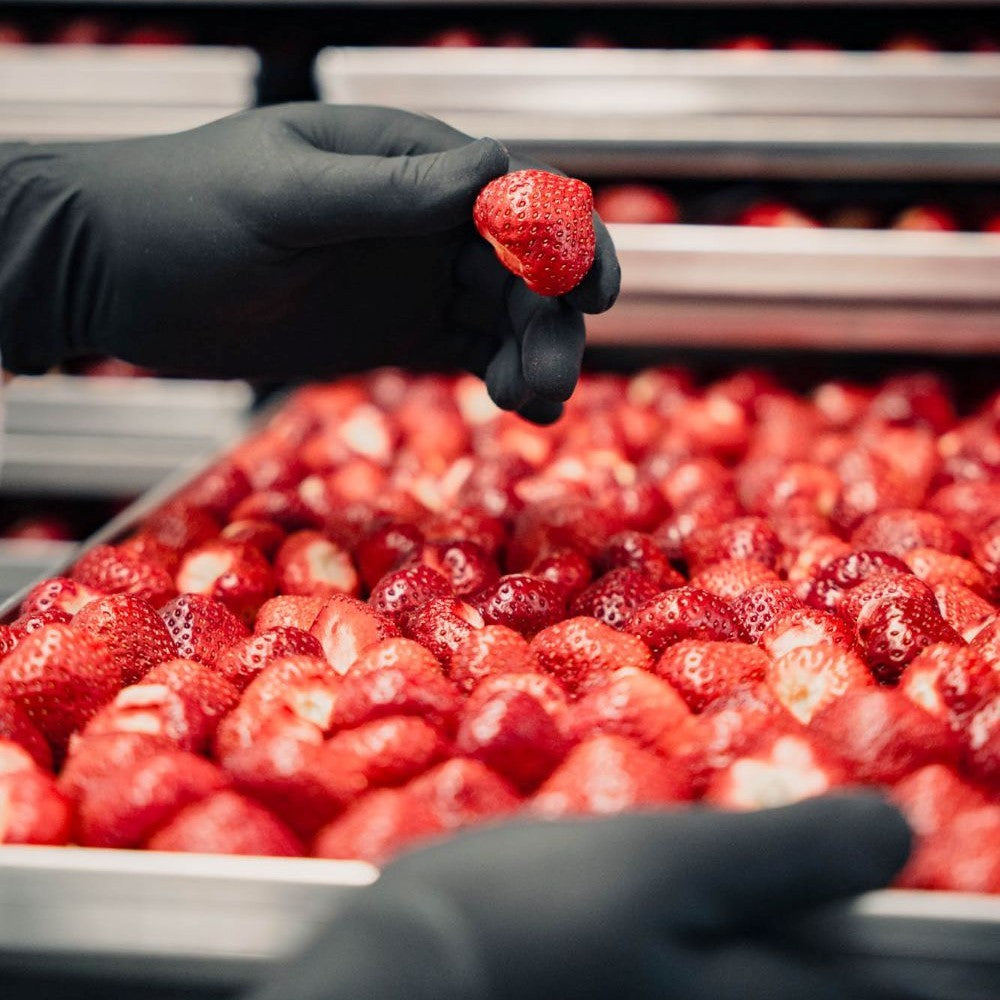 Erdbeeren in der Produktion für die Gefriertrocknung