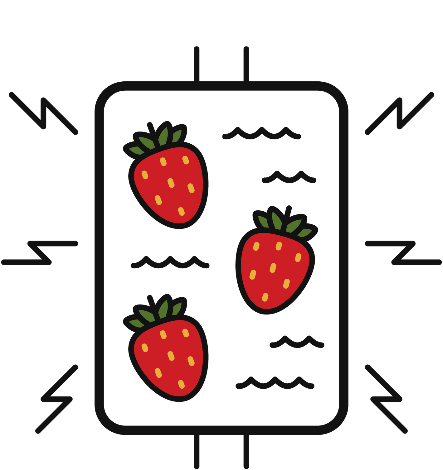 Impulstechnologie Frudist